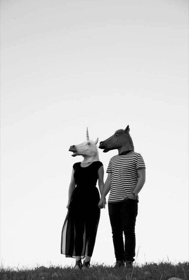 parejas de caballos