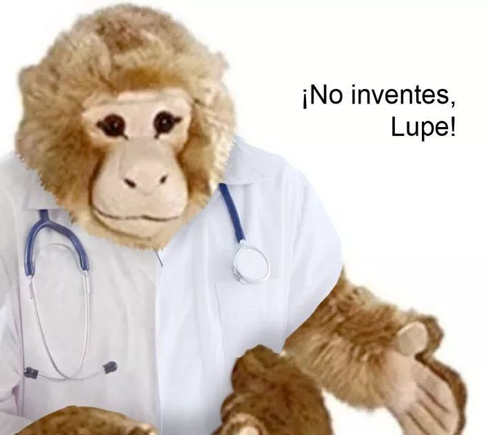 mono medico hablandole a lupe